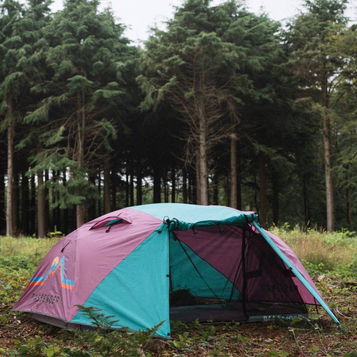 Passenger unisex Bleiben Sie geerdet 2-Personen-Zelt Virdiangrün/Orchidee 0BP2605 Leben im Freien Grün